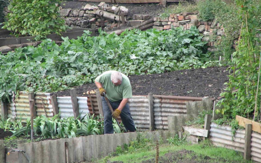 The new approach to garden weeds and why you need it